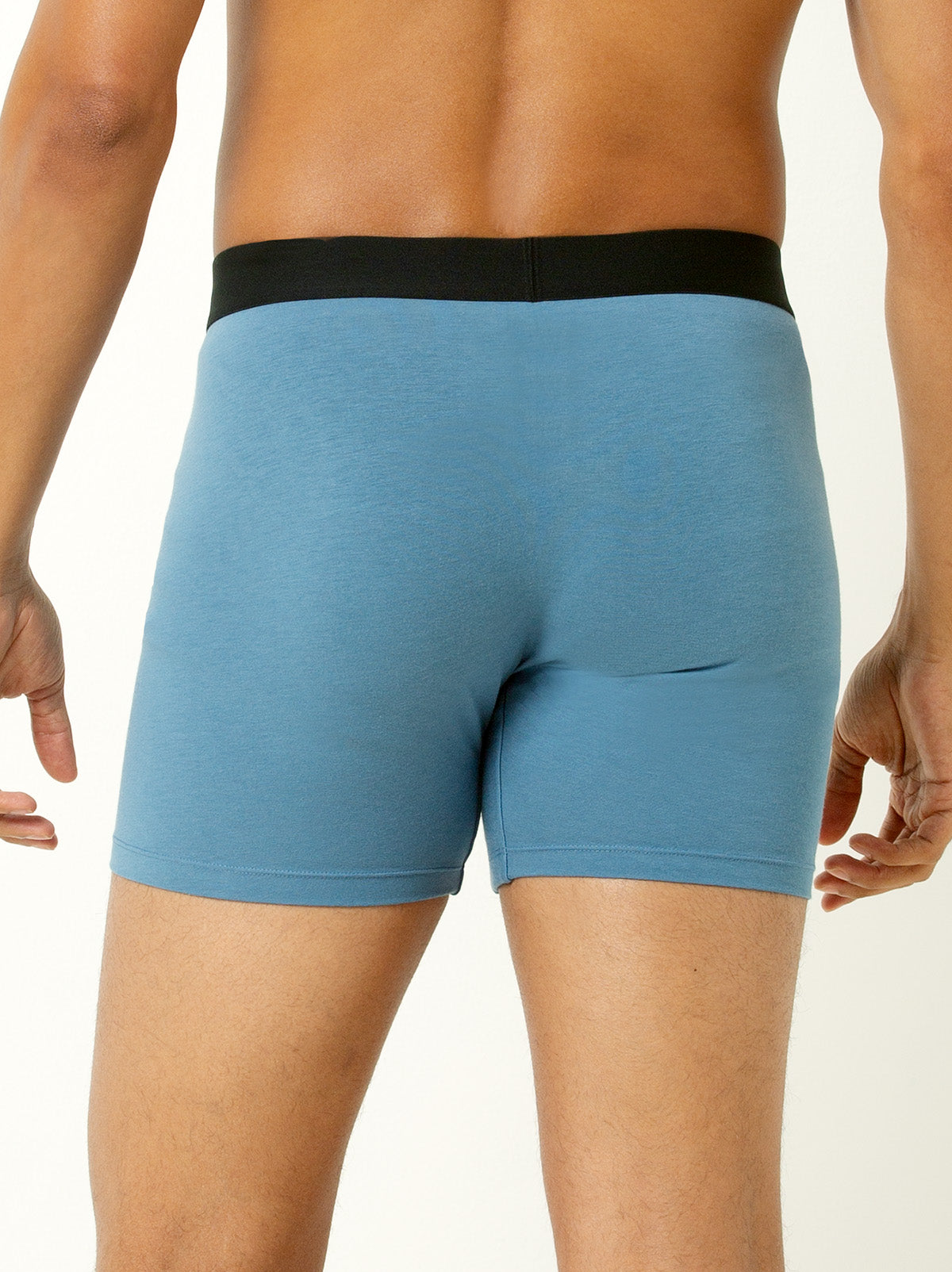 Back shot of male model wearing blue colored boxer briefs