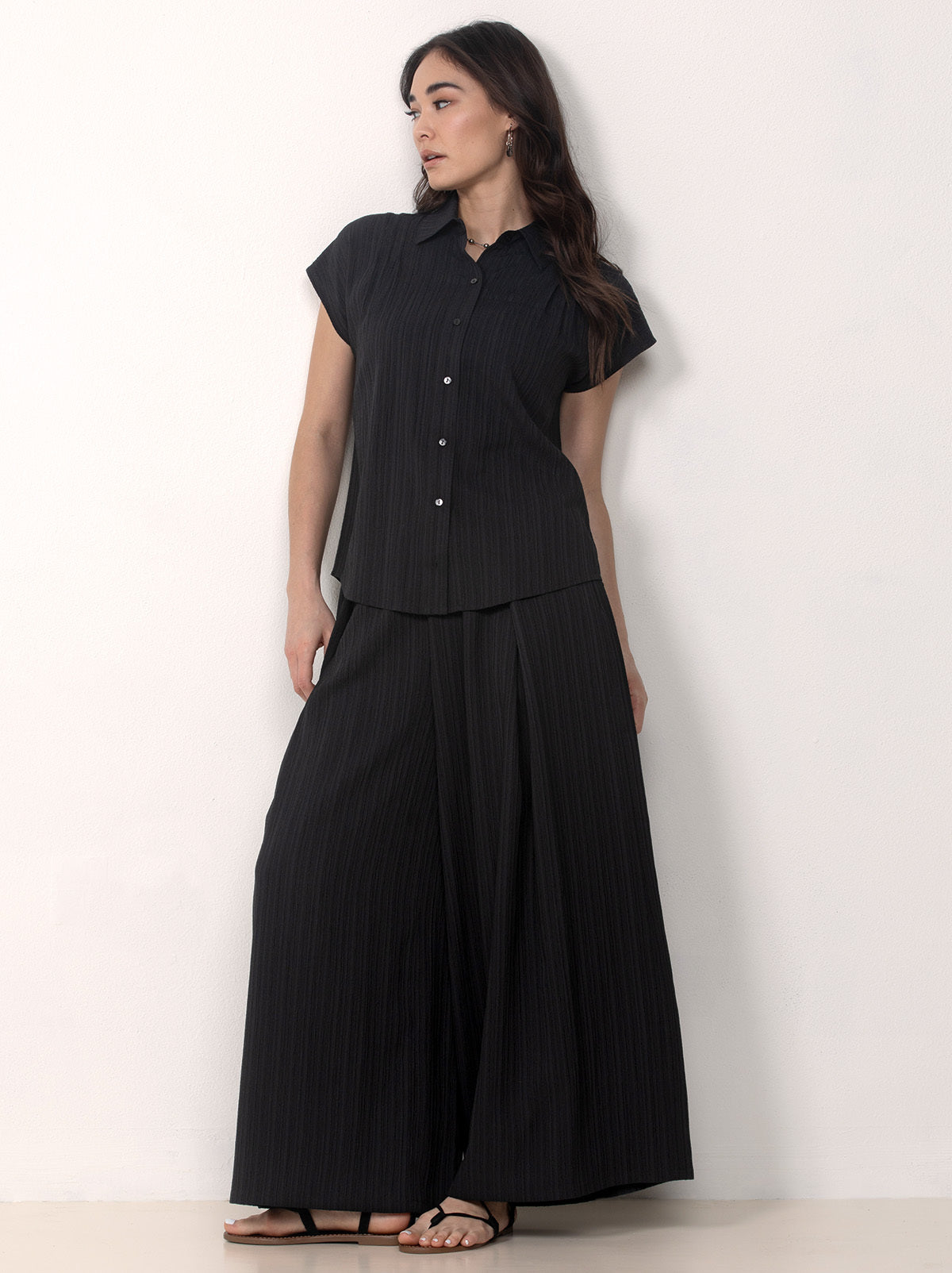 Button Front Shirt with Palazzo Pants Set